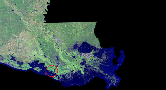 news-nasa-studies-a-rarity-growing-louisiana-deltas