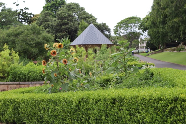 Sydney Botanical Gardens