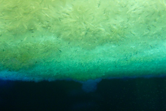 View from the Ob Tube: sea ice formations