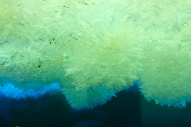 View from the Ob Tube: sea ice formations