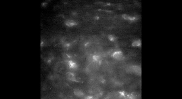 Unprocessed image shows features in Saturn's atmosphere