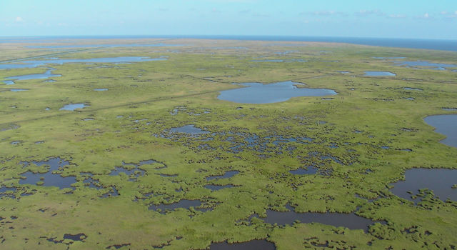 slide 1 - The Mississippi River Delta contains vast areas of marshes, swamps and barrier islands