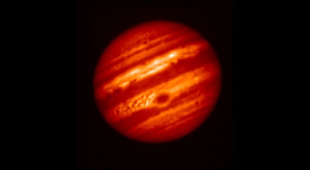 False-color image of Jupiter