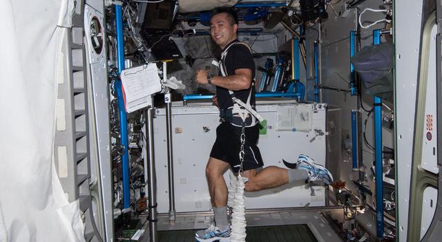 An astronaut runs on a treadmill on the International Space Station with bungees holding him in place.