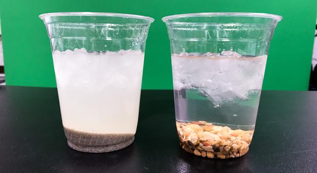 Two clear plastic cups filled with different amounts of water, ice, and types of granular materials sit side by side on a table.