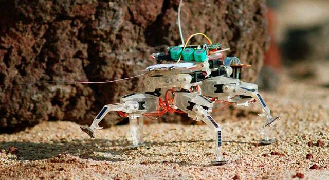 A tiny clear plastic robot with colorful wires jutting out of it walks over sandy terrain.