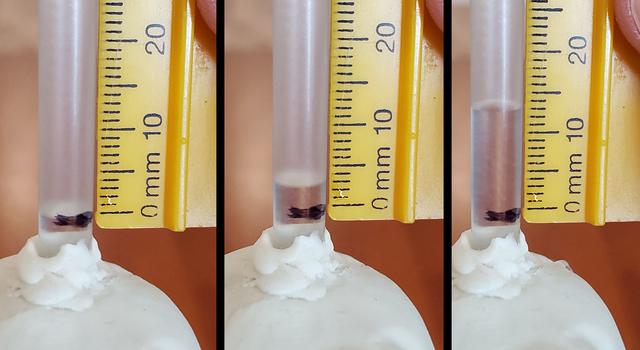 Side-by-side images showing rising water measurements