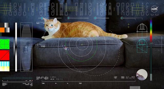 Icons and overlays showing an orbital path, heat map, and cat's heart rate are show over an image of an orange tabby cat laying on a gray couch and looking intently off to the side.
